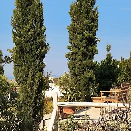 Christou Estate & Villas Pyrgos Kallistis Екстер'єр фото