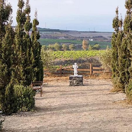 Christou Estate & Villas Pyrgos Kallistis Екстер'єр фото